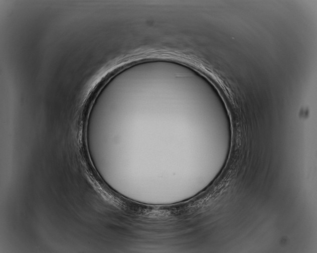 X0000100941503200806241150