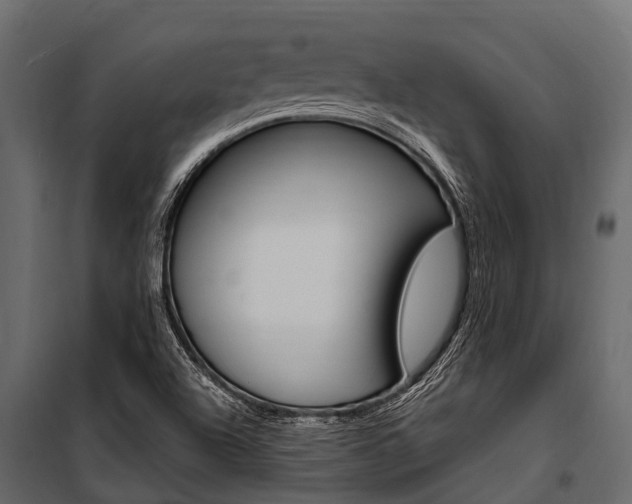 X0000100941504200806241150