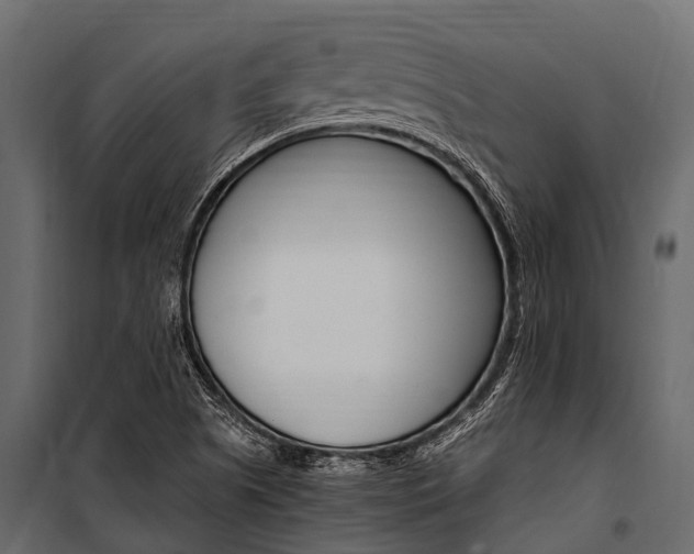 X0000100941505200806241150