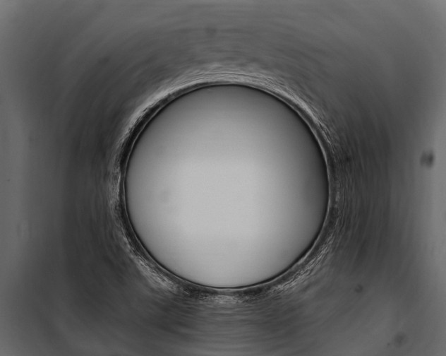 X0000100941507200806241150