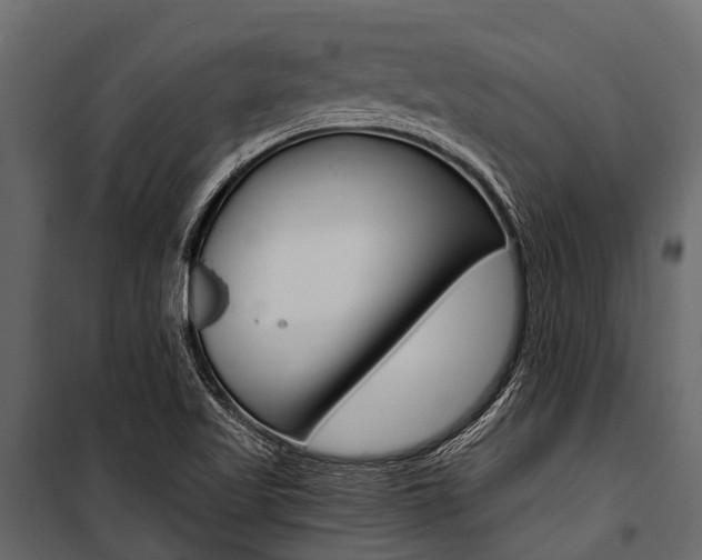 X0000100941509200806241150