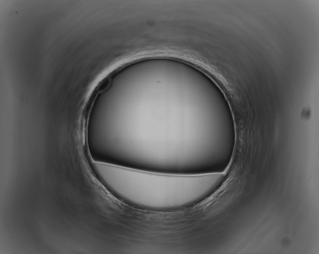 X0000100941510200806241150