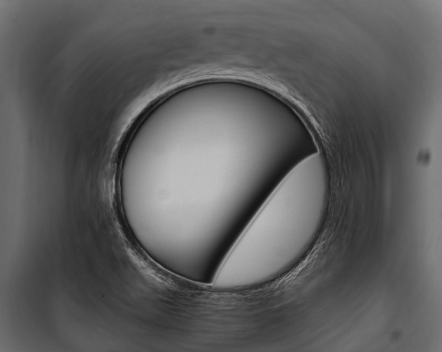X0000100941511200806241150