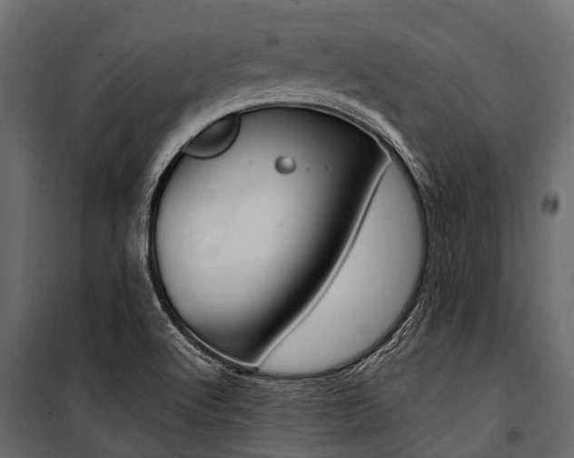 X0000100941512200806241150