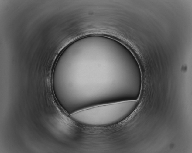 X0000100941513200806241150