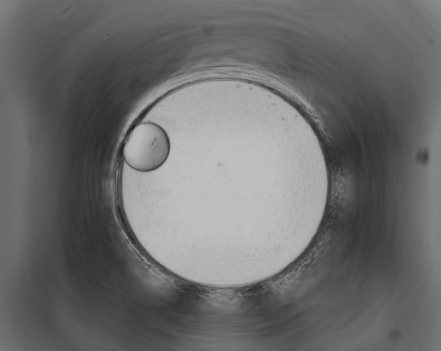 X0000100941514200806241150