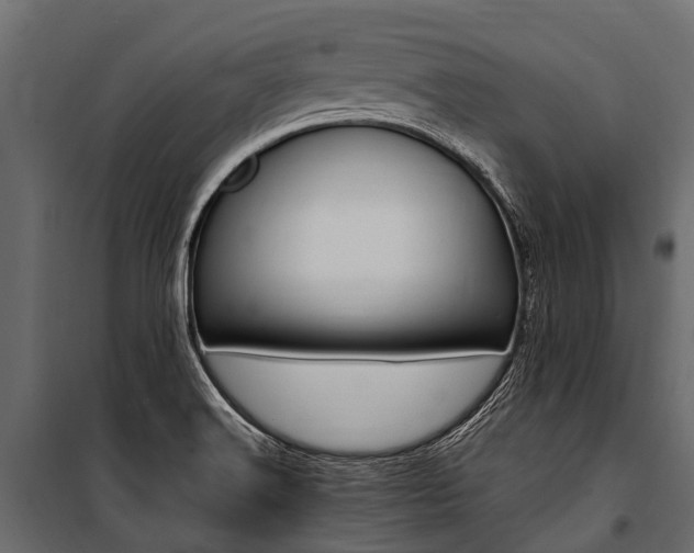 X0000100941516200806241150