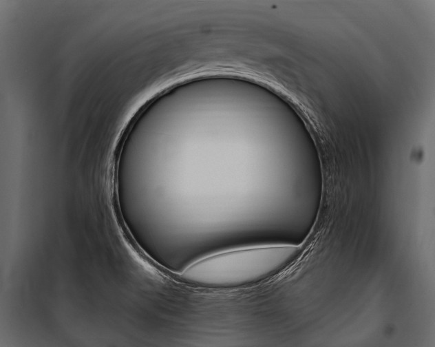 X0000100941519200806241150