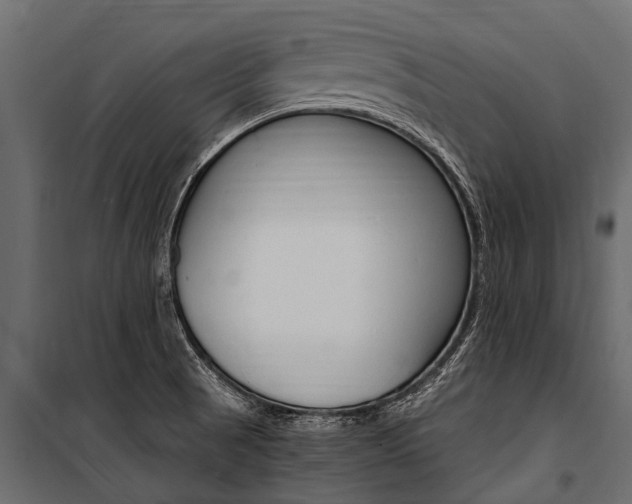 X0000100941521200806241150