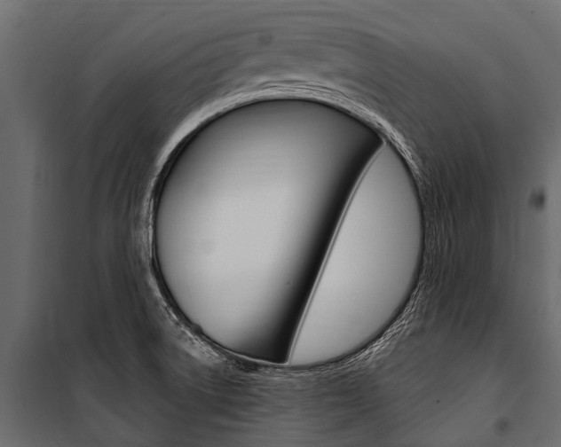 X0000100941522200806241150