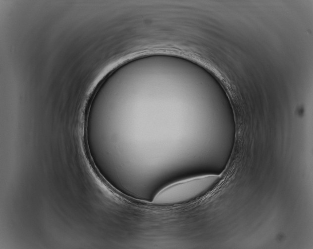 X0000100941523200806241150
