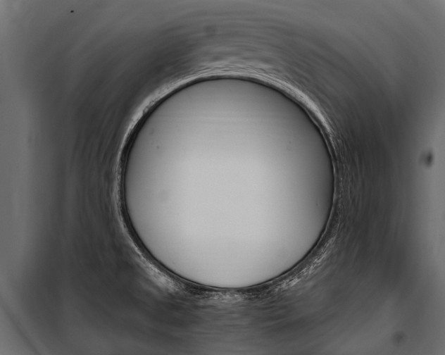 X0000100941525200806241150