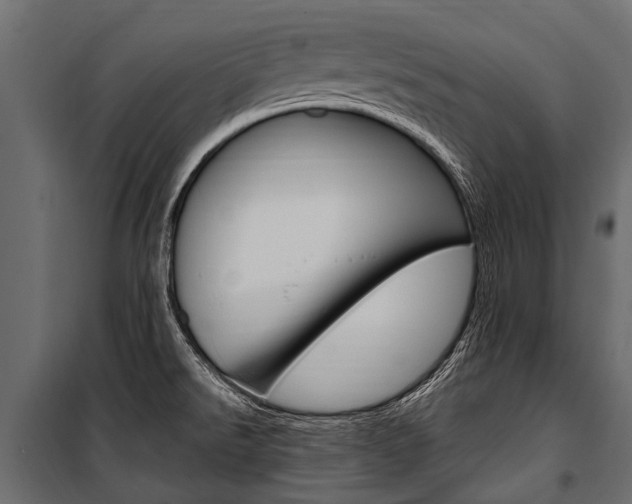 X0000100941526200806241150