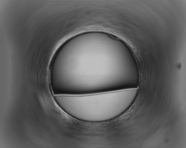 X0000100941527200806241150