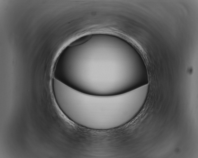 X0000100941528200806241150