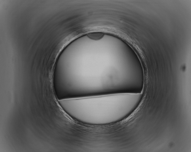 X0000100941529200806241150