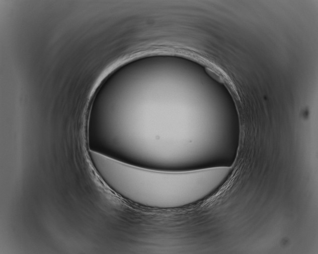 X0000100941530200806241150