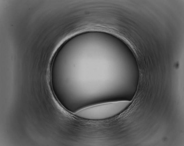 X0000100941531200806241150