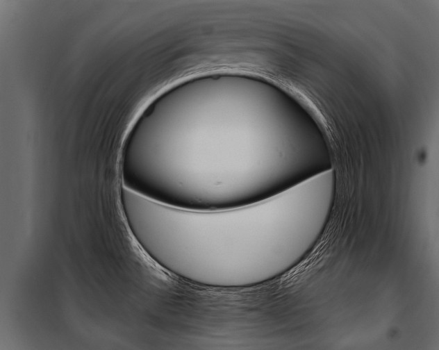 X0000100941532200806241150