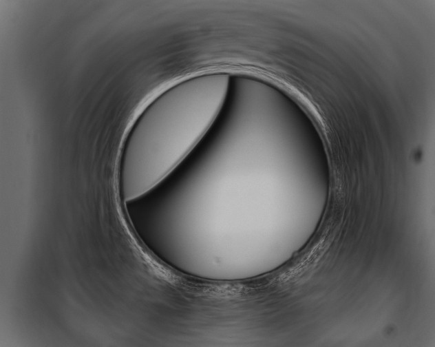 X0000100941533200806241150