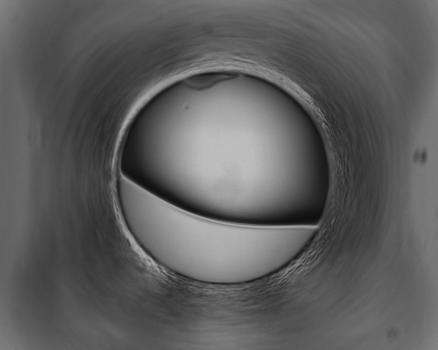 X0000100941536200806241150