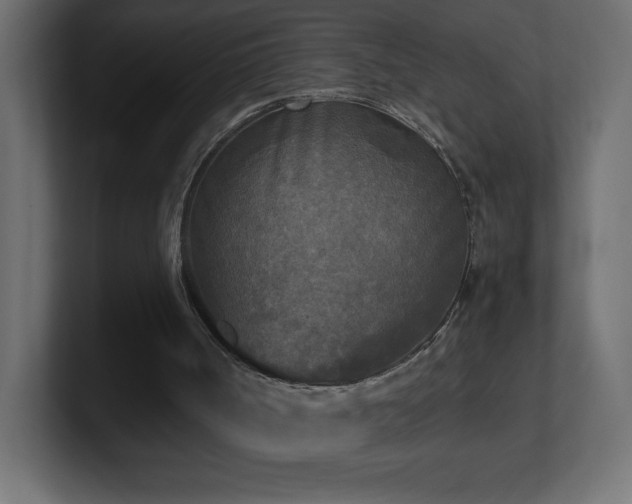 X0000100940002200806241437