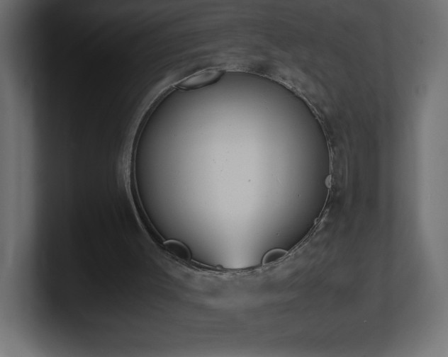 X0000100940003200806241437
