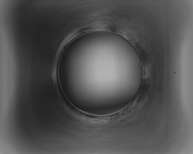 X0000100940004200806241437