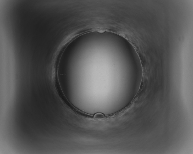 X0000100940005200806241437