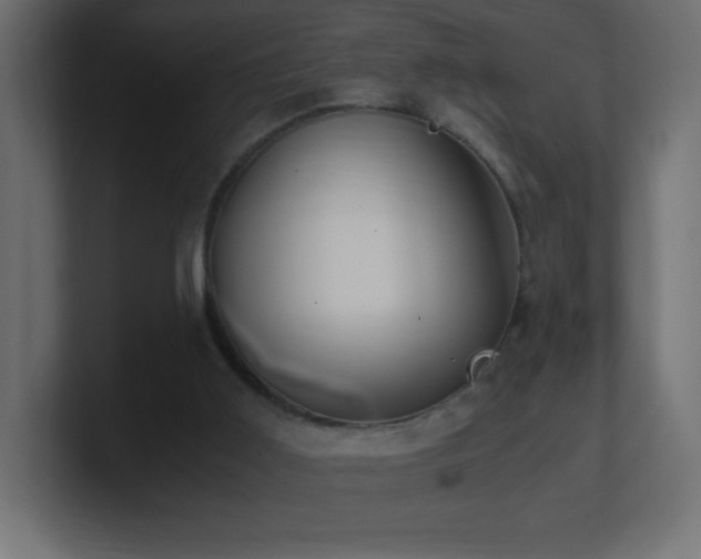 X0000100940011200806241437
