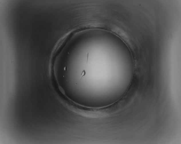 X0000100940012200806241437