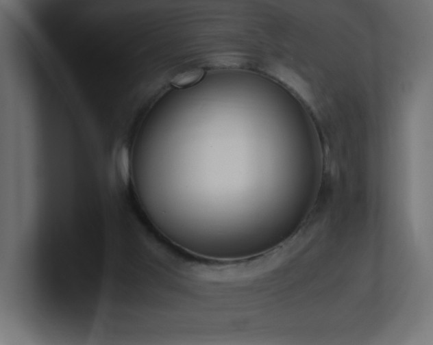X0000100940013200806241437
