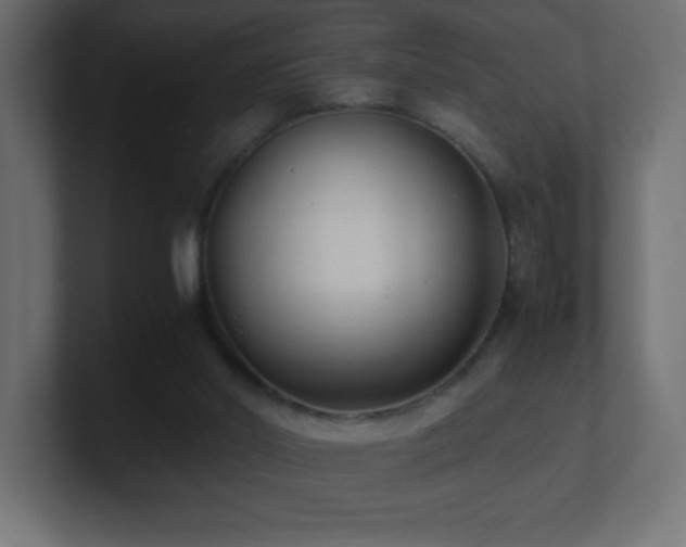 X0000100940014200806241437