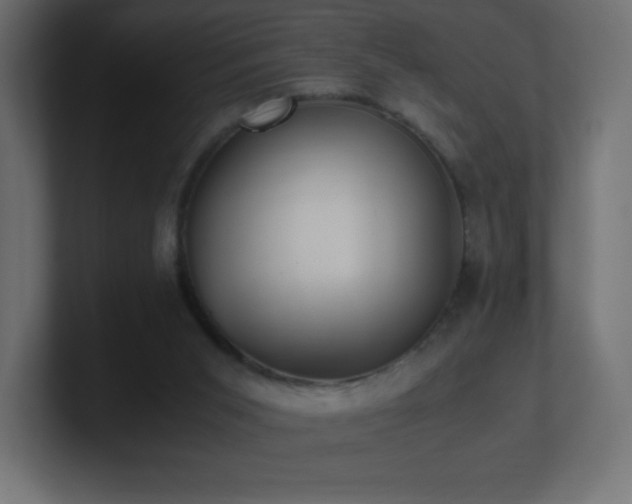 X0000100940015200806241437