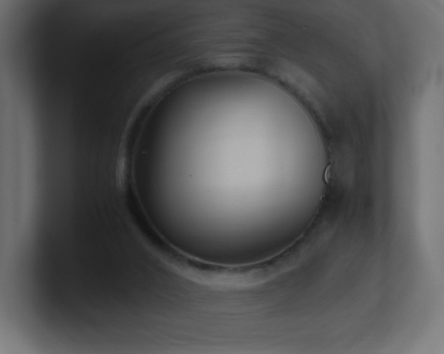 X0000100940016200806241437