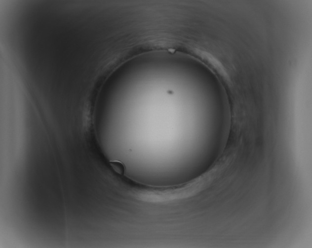 X0000100940017200806241437