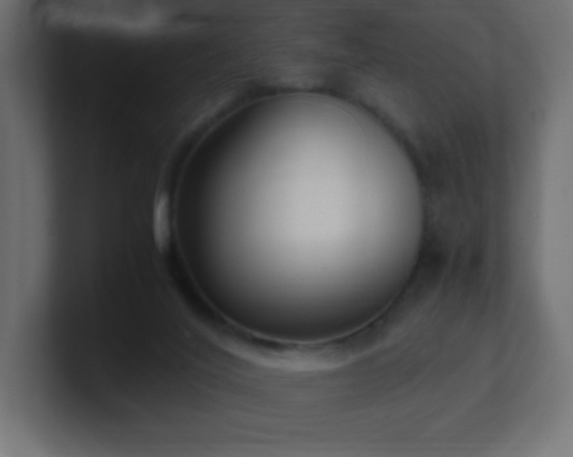 X0000100940020200806241437