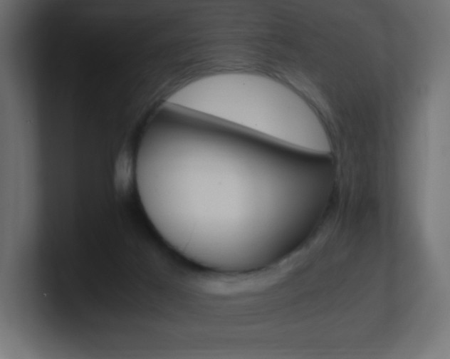 X0000100940021200806241437