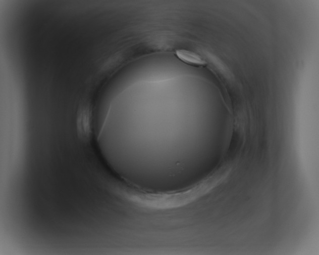 X0000100940023200806241437