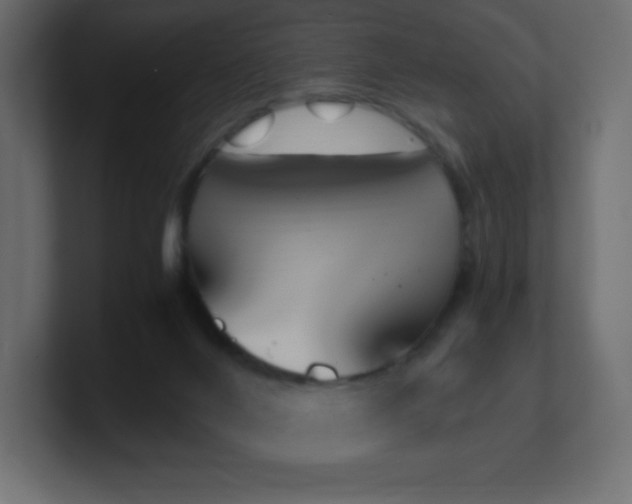 X0000100940024200806241437