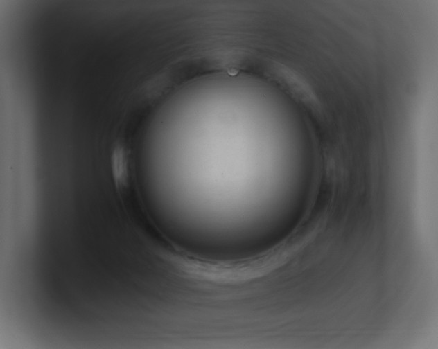 X0000100940026200806241437