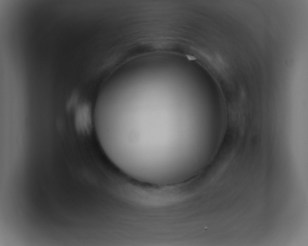 X0000100940028200806241437