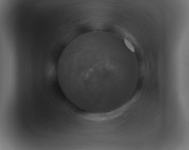 X0000100940029200806241437