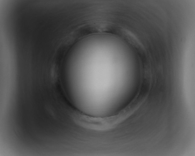 X0000100940030200806241437