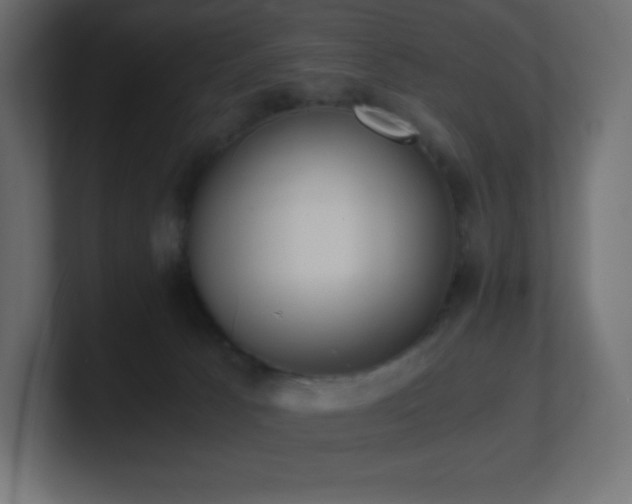 X0000100940033200806241437