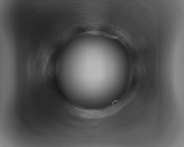 X0000100940034200806241437