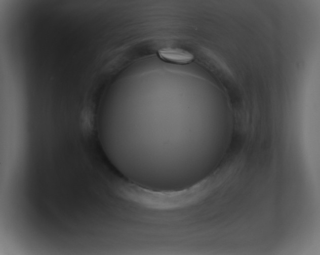 X0000100940035200806241437