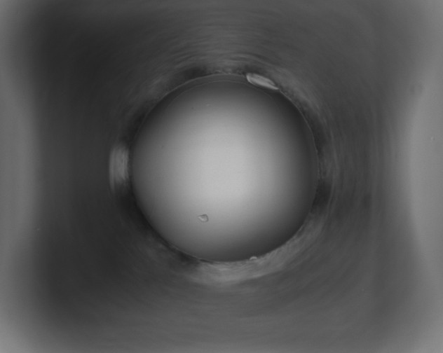 X0000100940041200806241437