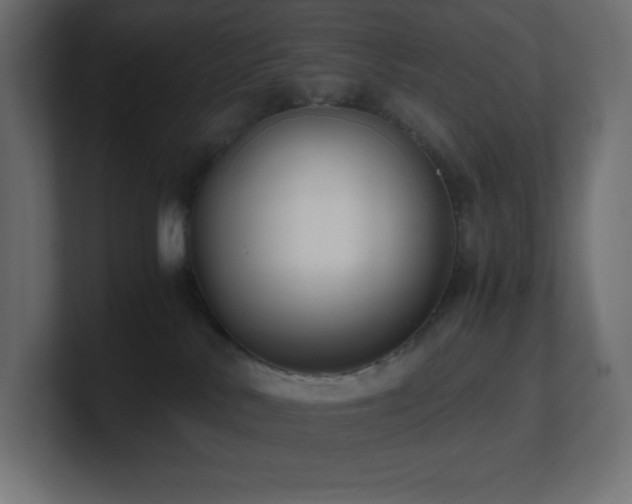 X0000100940042200806241437
