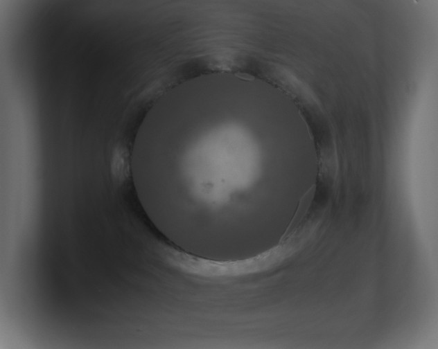 X0000100940043200806241437